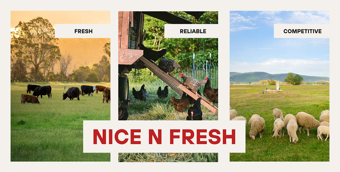 NicenFresh - Fresh, Reliable, Competitive.