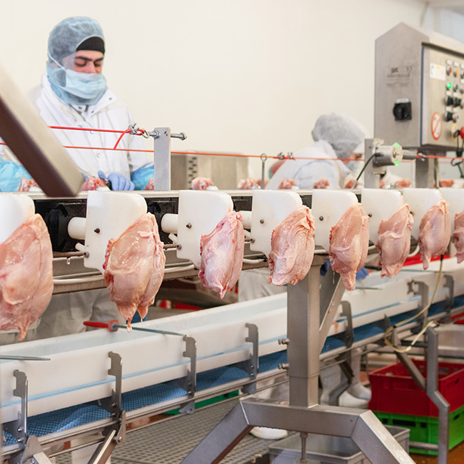 Worker at a poultry factory line